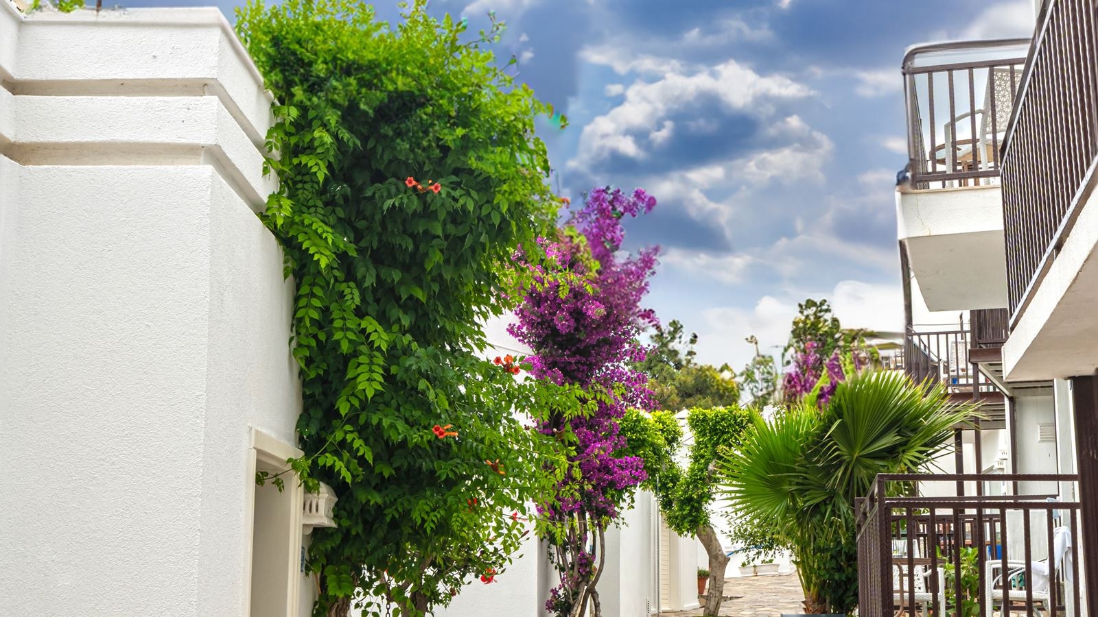 rooms-club-family-room