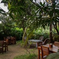 Рестораны preview